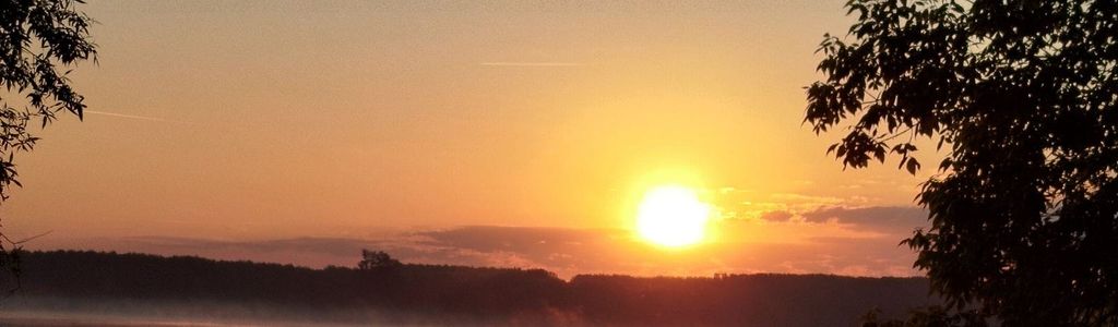 Profile Hero Background