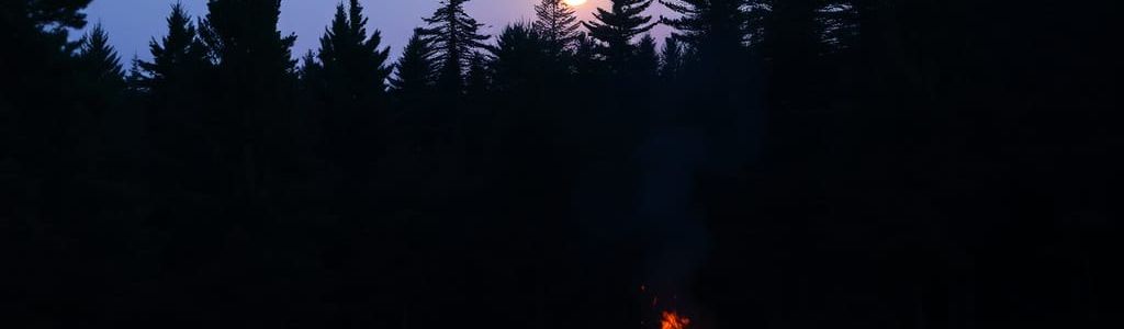 Profile Hero Background