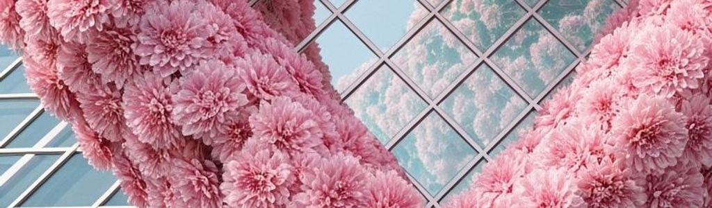 Profile Hero Background