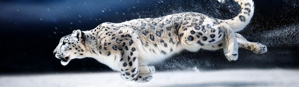 Profile Hero Background