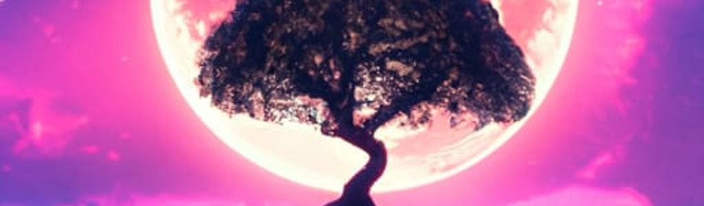 Profile Hero Background