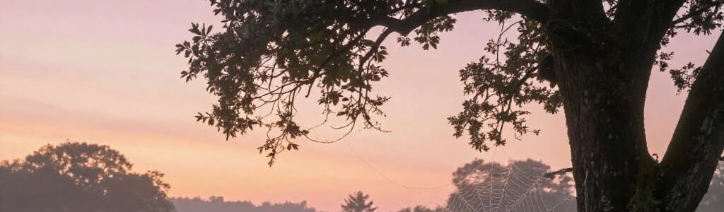 Profile Hero Background