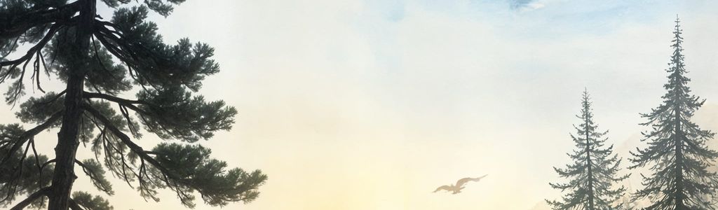 Profile Hero Background