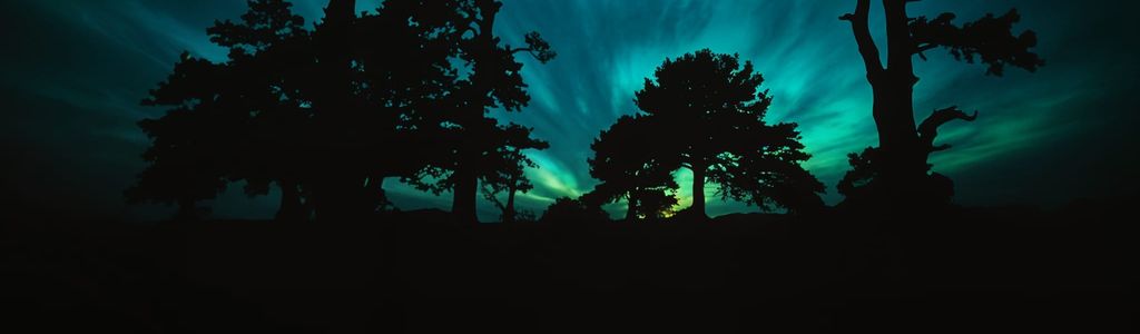 Profile Hero Background