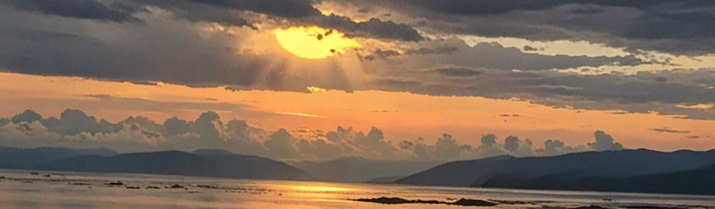 Profile Hero Background