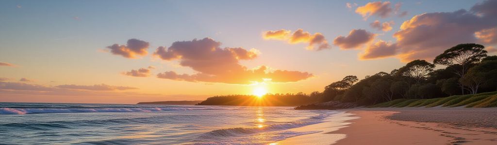 Profile Hero Background