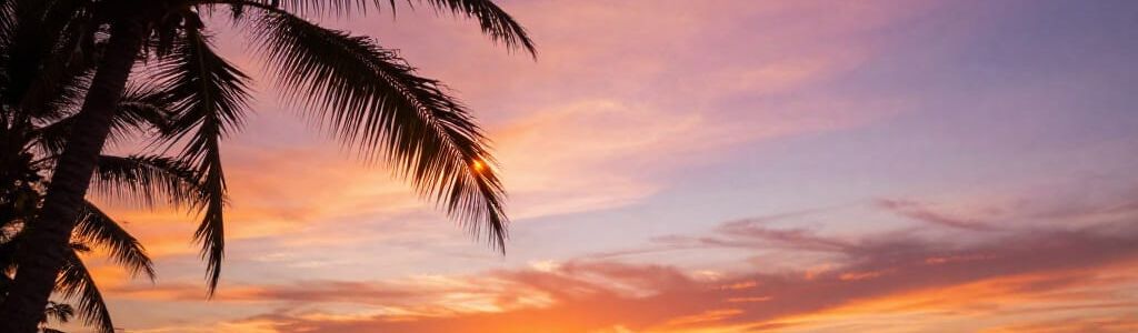 Profile Hero Background