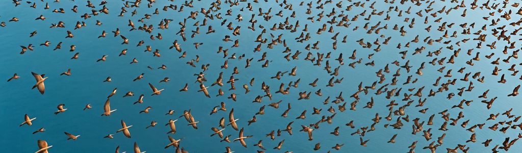 Profile Hero Background