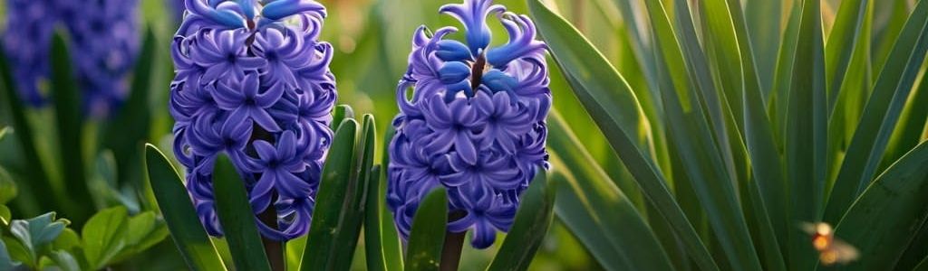 Profile Hero Background