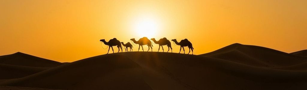 Profile Hero Background