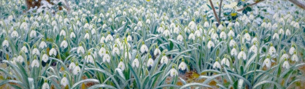 Profile Hero Background