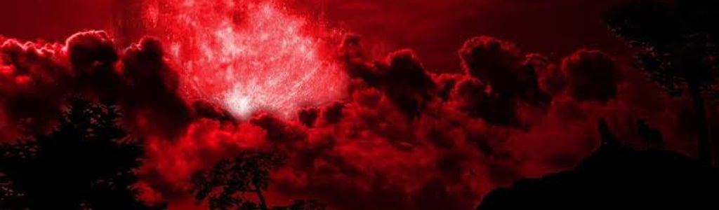 Profile Hero Background