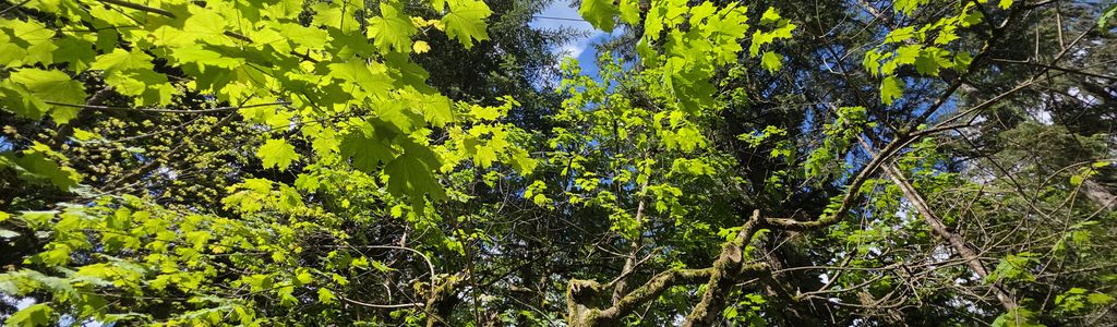 Profile Hero Background