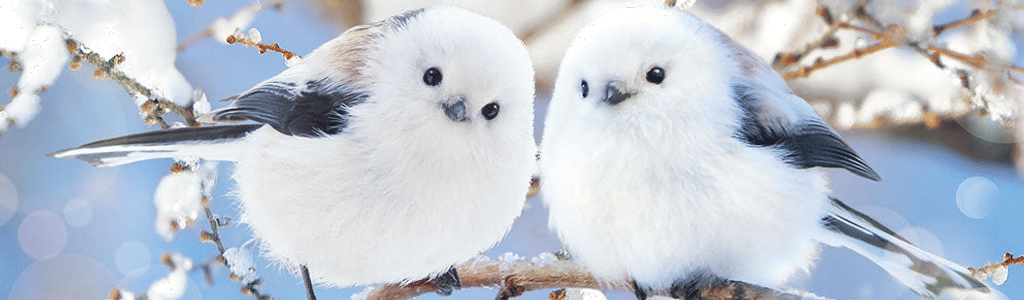 Profile Hero Background