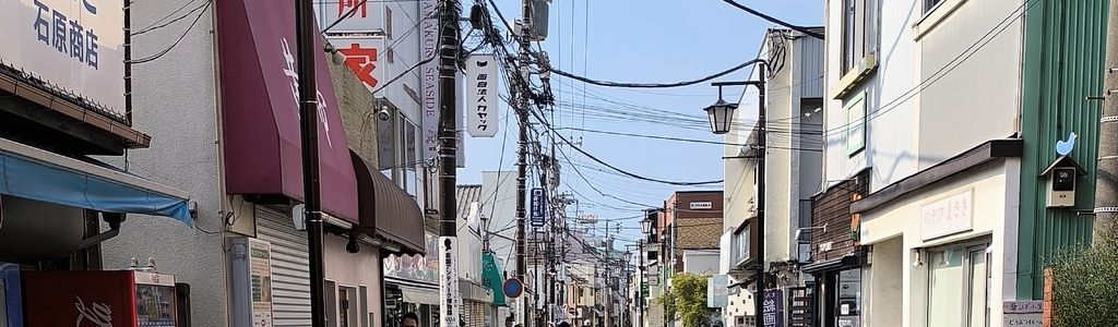 Profile Hero Background