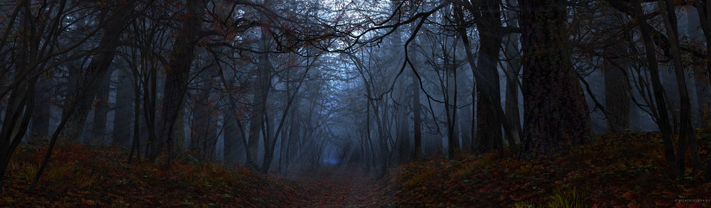 Profile Hero Background