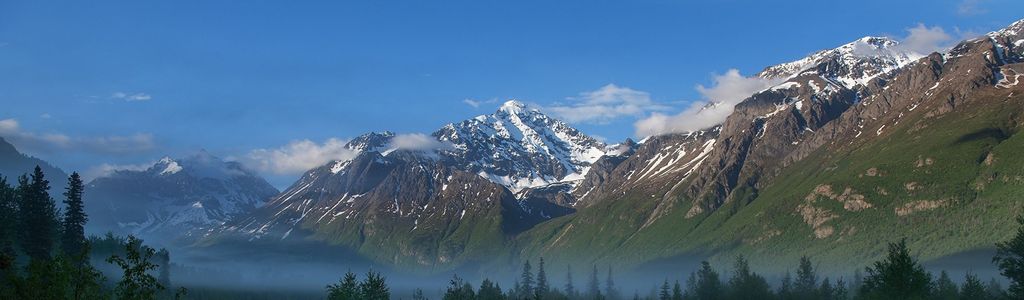 Profile Hero Background