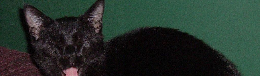 Profile Hero Background