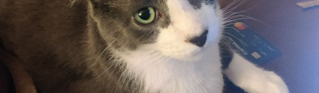 Profile Hero Background