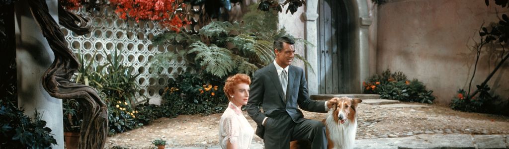 Profile Hero Background