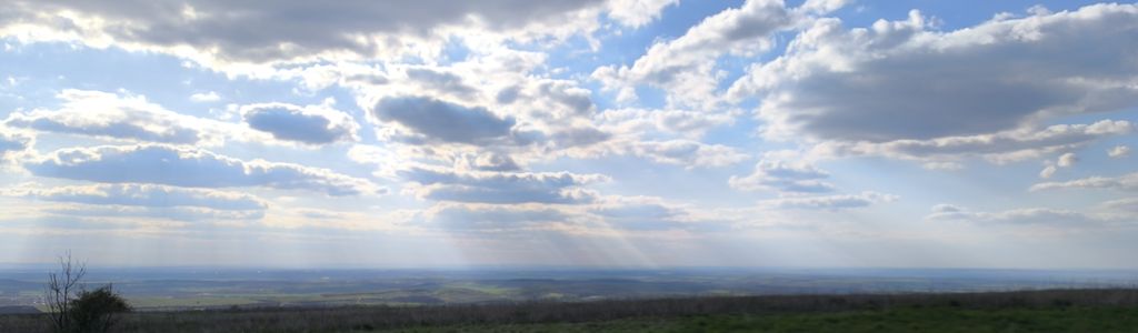 Profile Hero Background