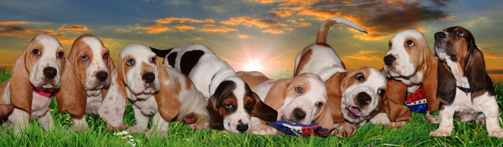 Profile Hero Background