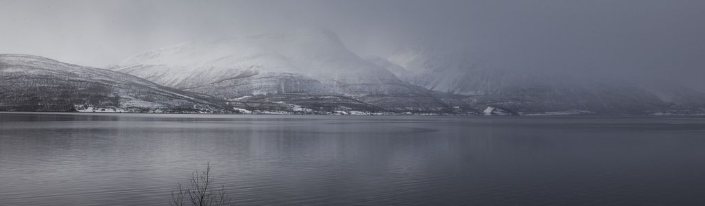 Profile Hero Background