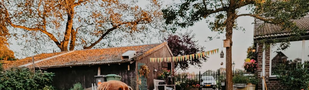 Profile Hero Background