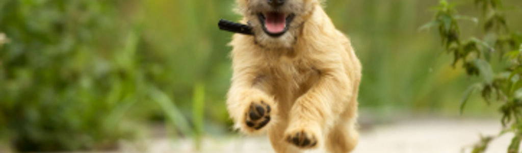 Profile Hero Background