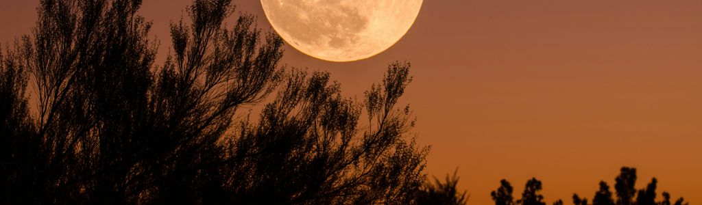 Profile Hero Background