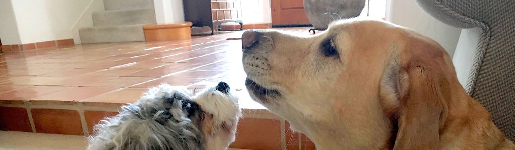 Profile Hero Background