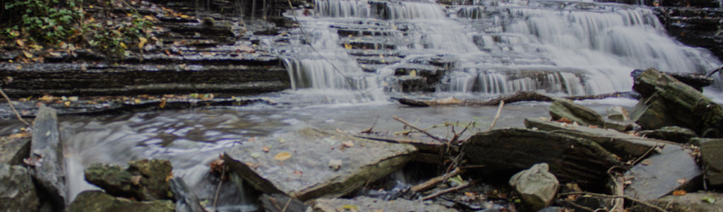 Profile Hero Background