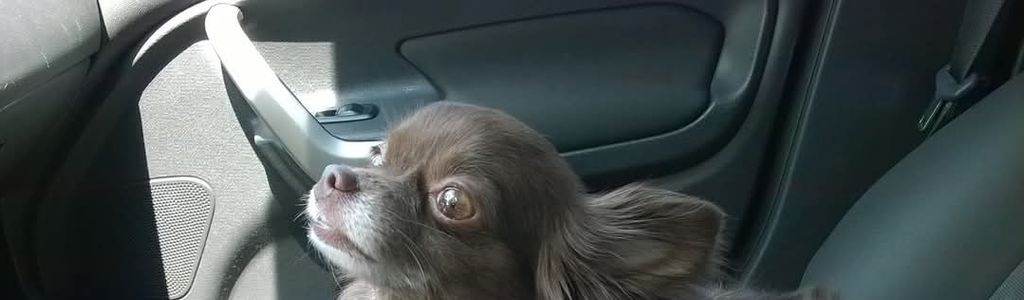 Profile Hero Background