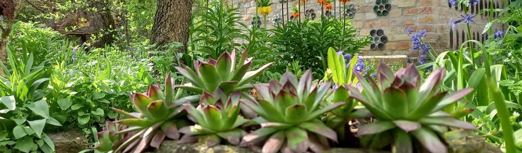 Profile Hero Background