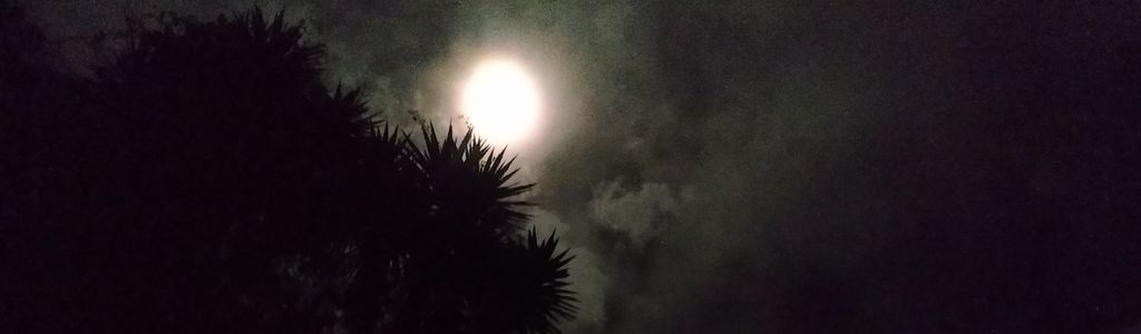 Profile Hero Background