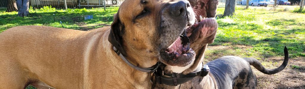 Profile Hero Background