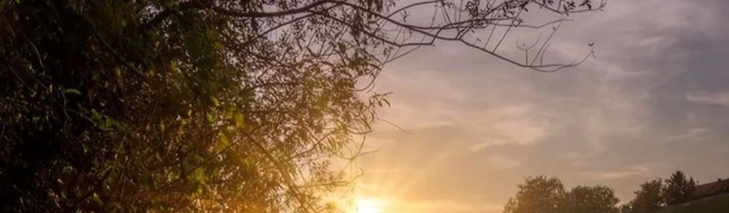 Profile Hero Background