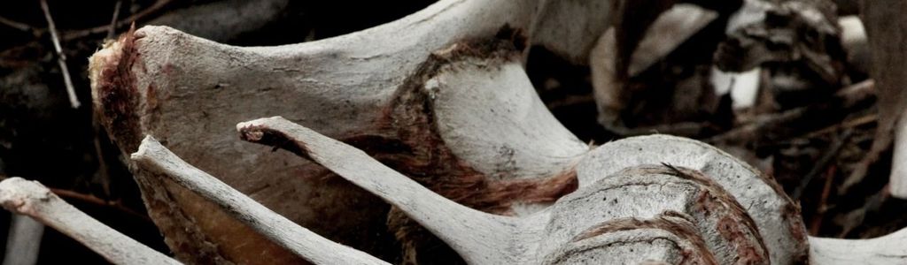 Profile Hero Background