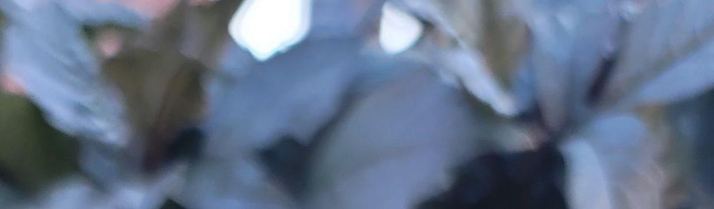 Profile Hero Background