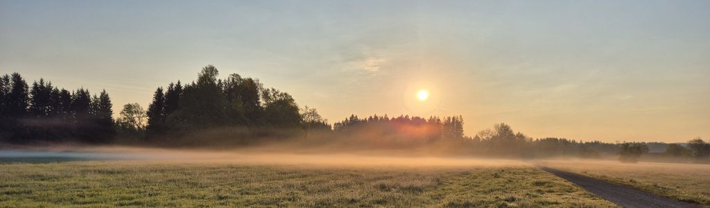 Profile Hero Background