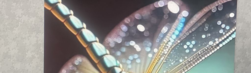 Profile Hero Background