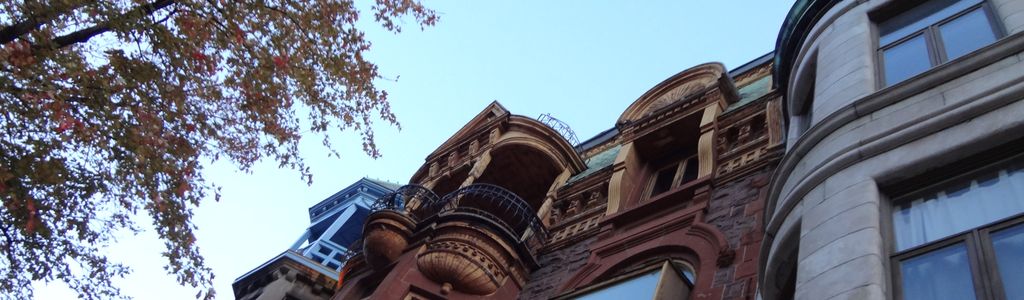 Profile Hero Background