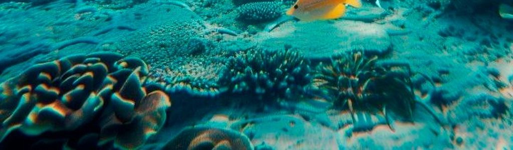 Profile Hero Background