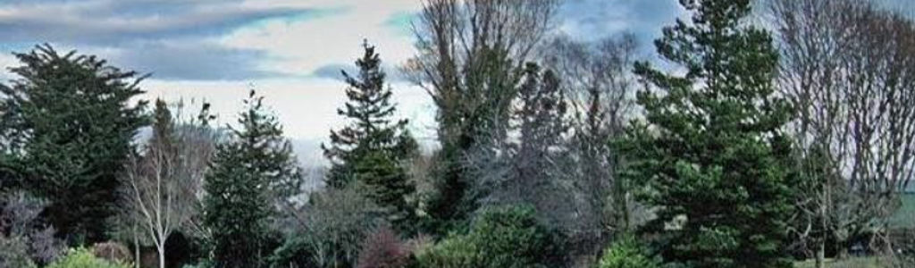 Profile Hero Background