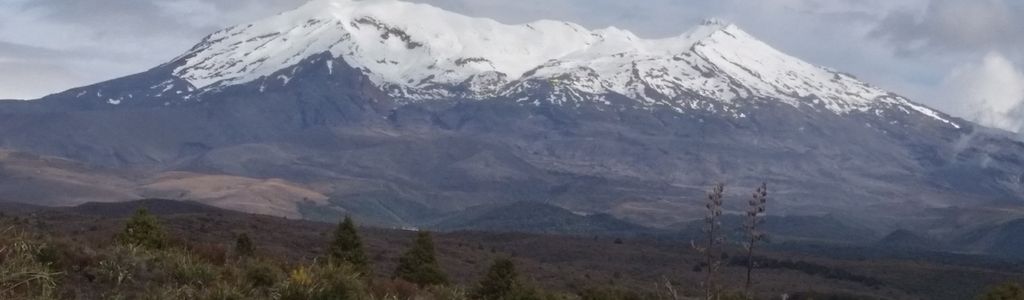 Profile Hero Background