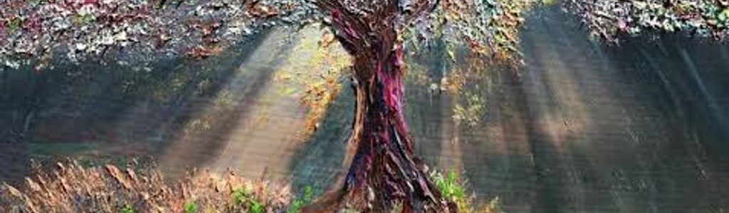 Profile Hero Background