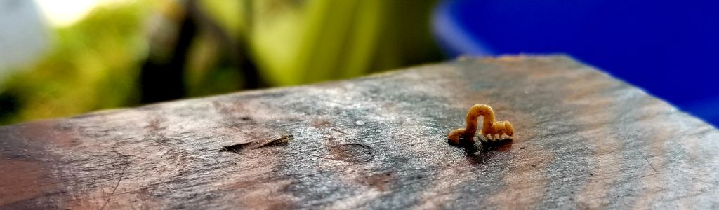 Profile Hero Background