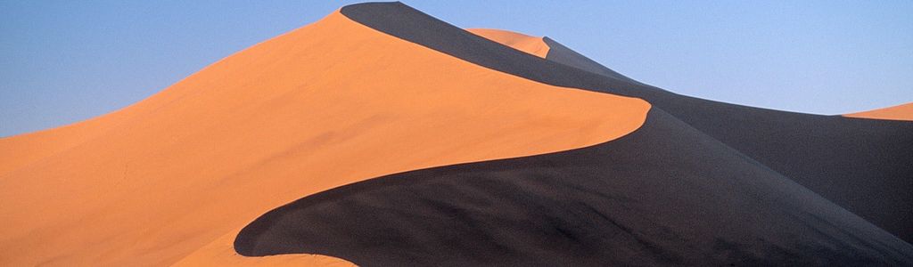 Profile Hero Background