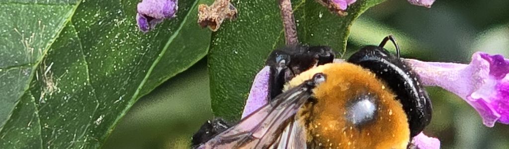 Profile Hero Background