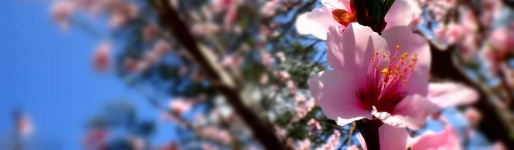 Profile Hero Background